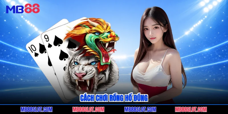 Cách chơi Rồng Hổ đúng