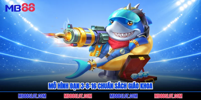 Mô hình đạn 3-8-16 chuẩn sách giáo khoa